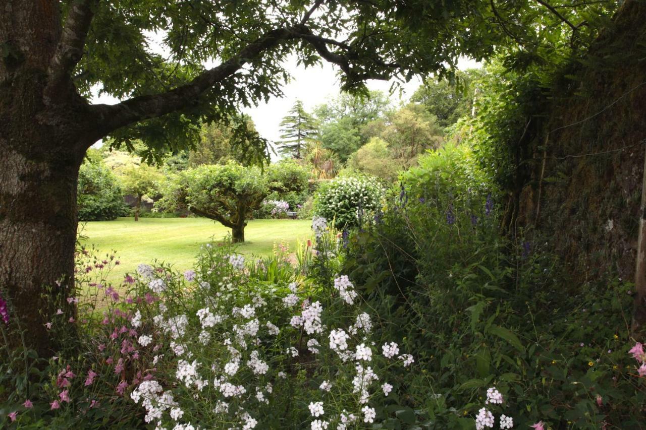 Willowhill House Bed And Breakfast Minane Bridge Екстер'єр фото