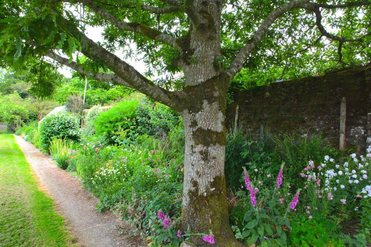Willowhill House Minane Bridge Екстер'єр фото